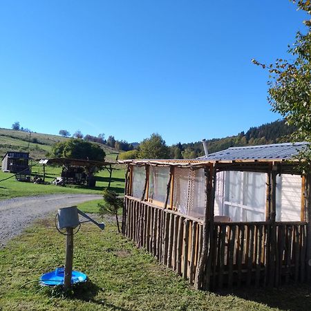 Altana Caloroczna Vira Numer 7 Herbergerowka Agroturystyka Na Wsi Душники-Здруй Екстер'єр фото