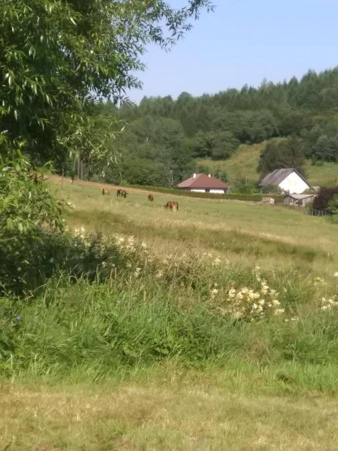 Altana Caloroczna Vira Numer 7 Herbergerowka Agroturystyka Na Wsi Душники-Здруй Екстер'єр фото